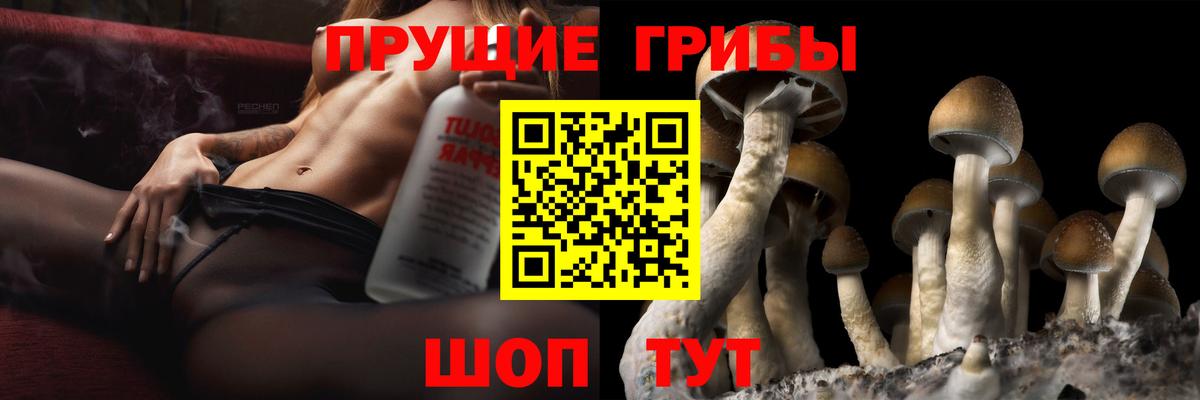Галлюциногенные грибы GOLDEN TEACHER Гусиноозёрск